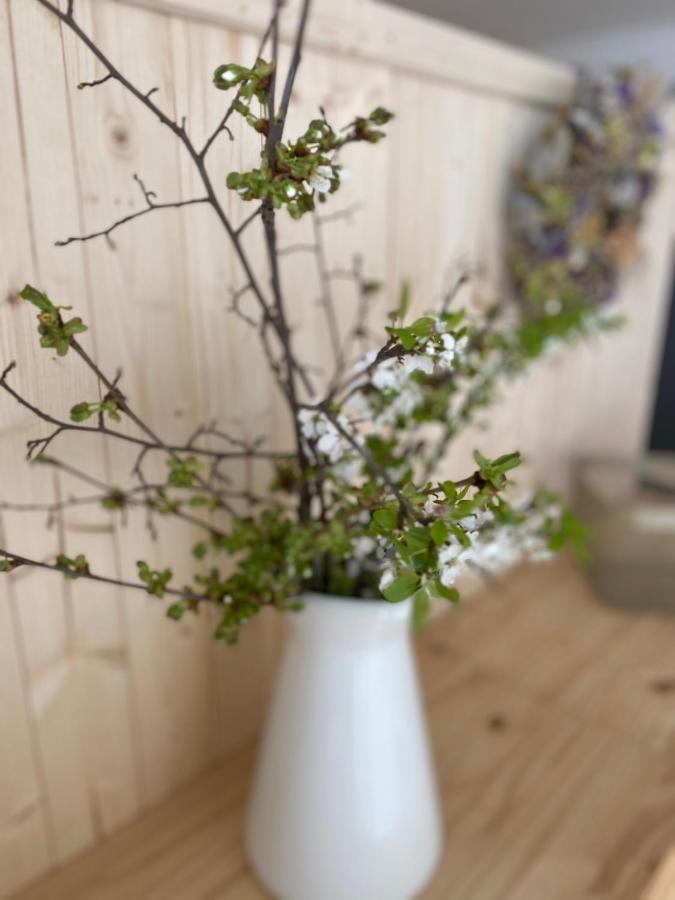 Apartman Praceアパートメント エクステリア 写真